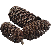 Black Cones 40 Gram - Voor 1200 L