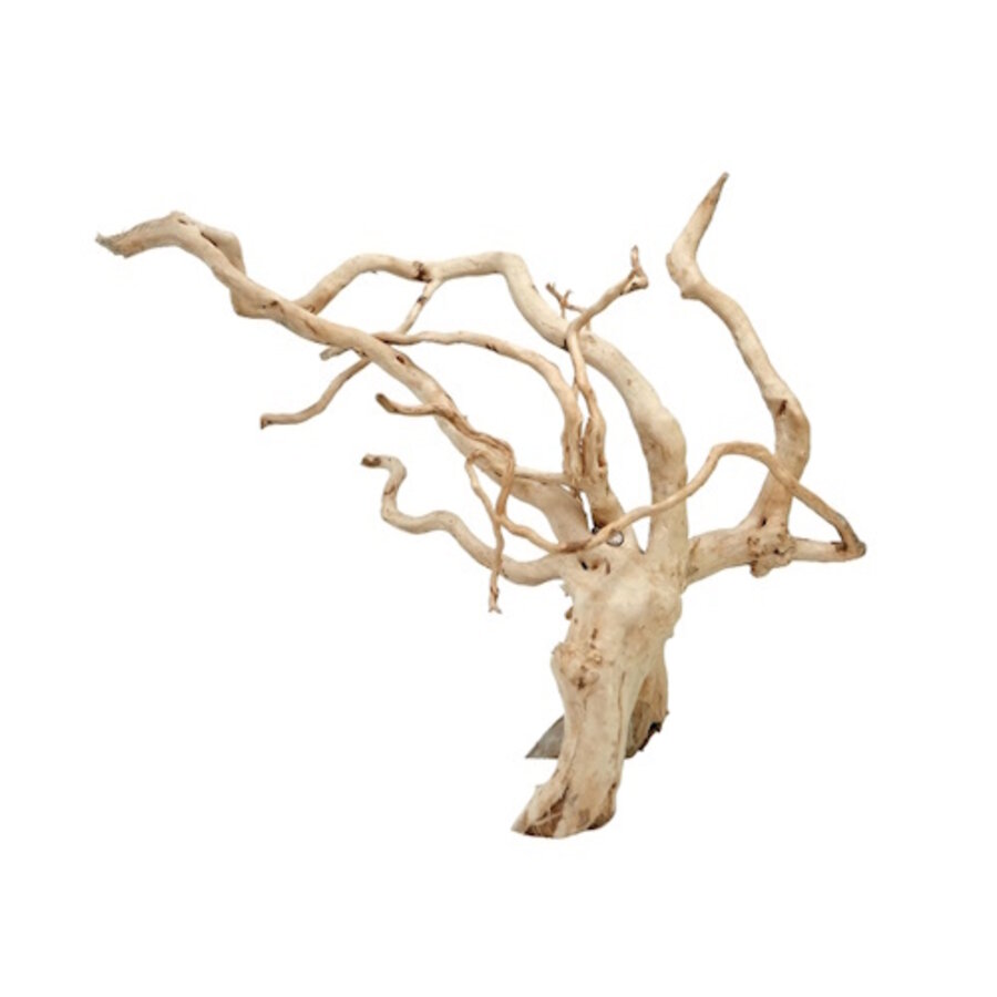 Spider Wood aquarium- en terrariumhout