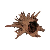 Corbo-Root eucalyptus aquariumhout | pH-verlagend