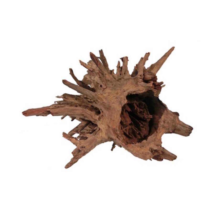 Corbo-Root eucalyptus aquariumhout | pH-verlagend