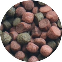 Cichlid Pellets M