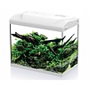 Aquarium Platy 30 LED | 30L | 39 x 22 x 36CM Wit