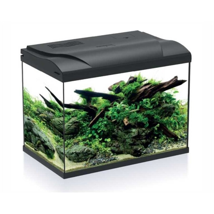 Aquarium Platy 50 LED | 50L | 49 X 31 X 38CM Zwart