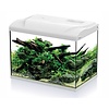 Aquarium Platy 50 LED | 50L | 49 X 31 X 38CM Wit