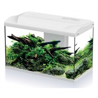 Aquarium Platy Bio 70 LED | 70L | 59 x 31 x 39 CM Wit