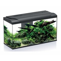 Aquarium Platy Bio 110 LED | 110L | 80 x 31 x 46CM Zwart