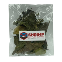 Moerbei bladeren voor aquariumgarnalen | aanvullend bladvoer 10 g