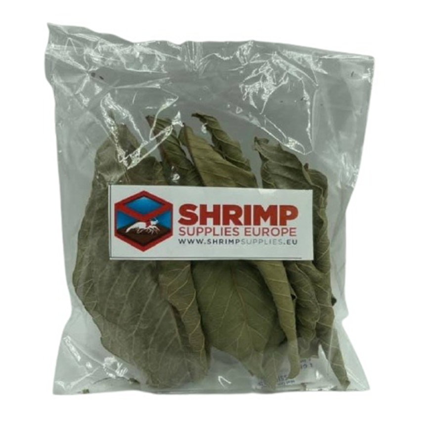 Guave bladeren voor aquariumgarnalen | 10+ stuks | natuurlijke antibacteriële bladvoeding