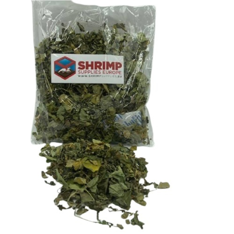 Moringa bladeren | natuurlijk garnalenvoer en plantenbemesting | 25 g