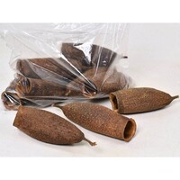 Trompeta pod schuilplaats voor aquarium