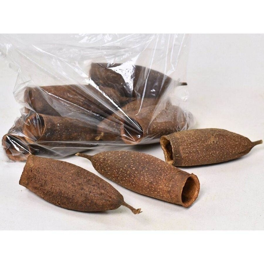 Trompeta pod schuilplaats voor aquarium