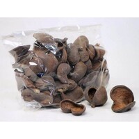 Badam noot 5-8 cm | natuurlijke schuilplaats & tanninebron voor aquarium