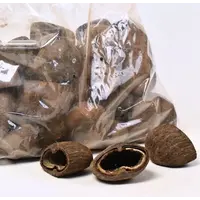 Cocos pod schuilplaats | 6-8 cm | voor aquarium en knaagdieren