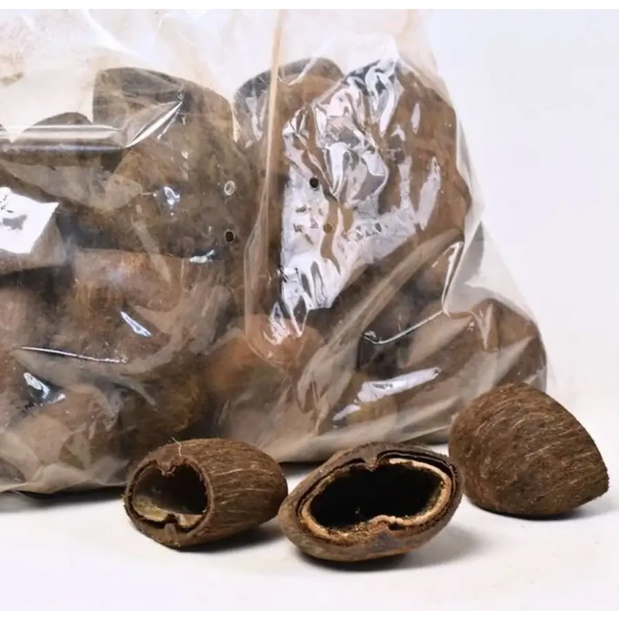 Cocos pod schuilplaats | 6-8 cm | voor aquarium en knaagdieren