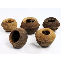 Sapucainha pod | natuurlijke schuilplaats en waterverbeteraar