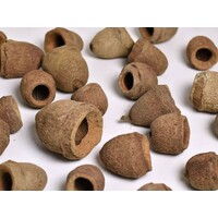 Sapucainha pod | natuurlijke schuilplaats en waterverbeteraar