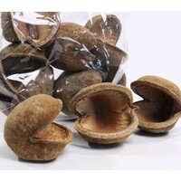 <p><strong>Cocos pod 6-8 cm</strong> is een natuurlijke schuilpod voor een rustig en natuurlijk aquarium. Ontwikkeld voor garnalen en kreeften en ideaal voor schuilplekken, foerageren en aquascaping. Dankzij het ruwe oppervlak hechten mossen en planten ma