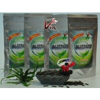 Blizzard Shrimp Food