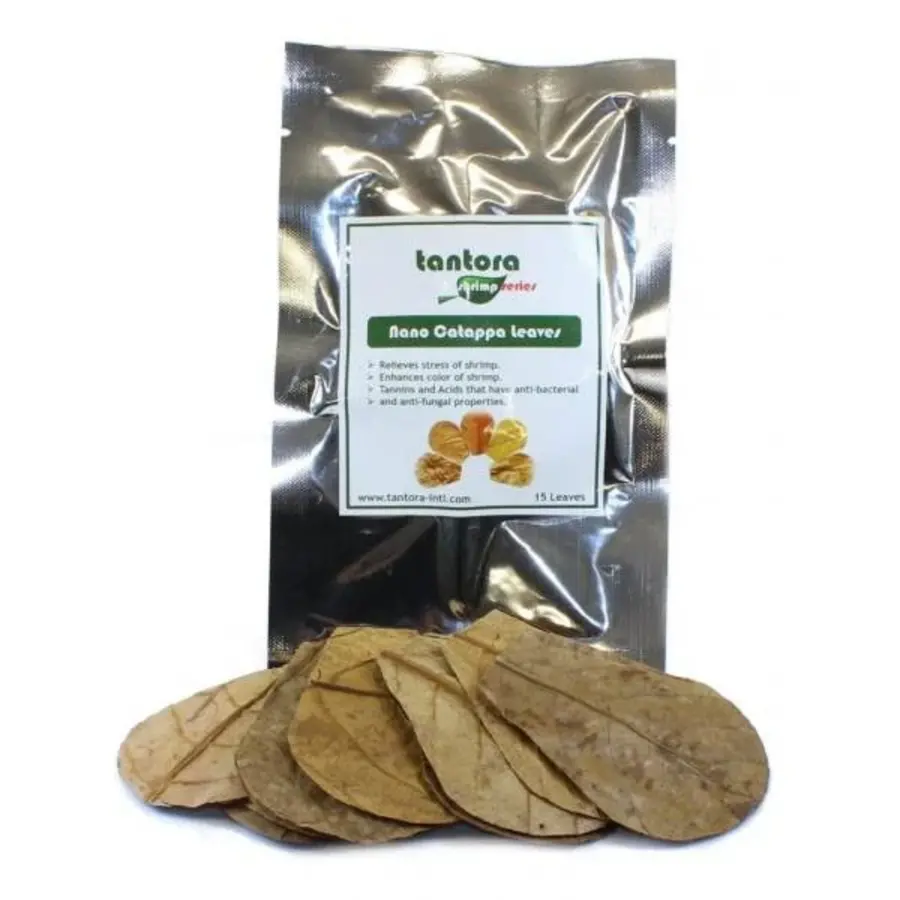 Nano catappa bladeren 15 stuks | natuurlijke tannines | voor aquariumwater