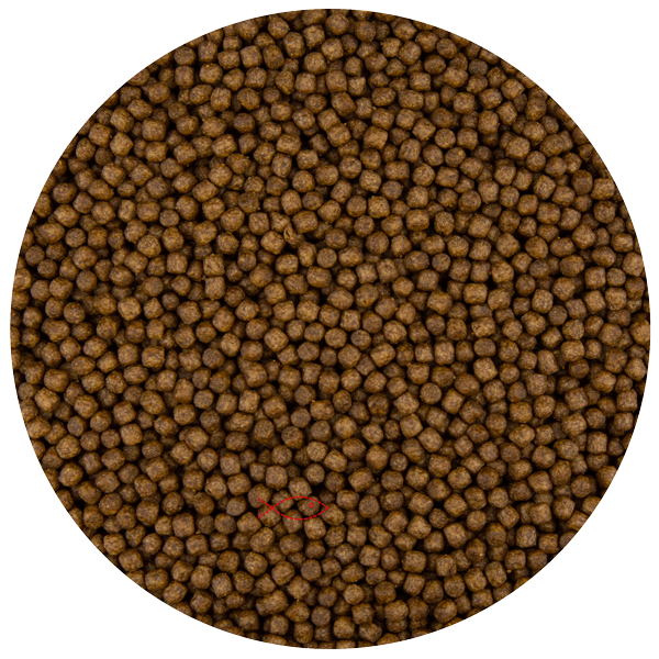 Junai.nl Pond Pellet 3MM