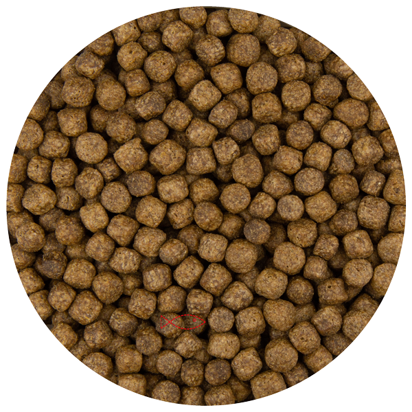 Junai.nl Pond Pellet 6MM