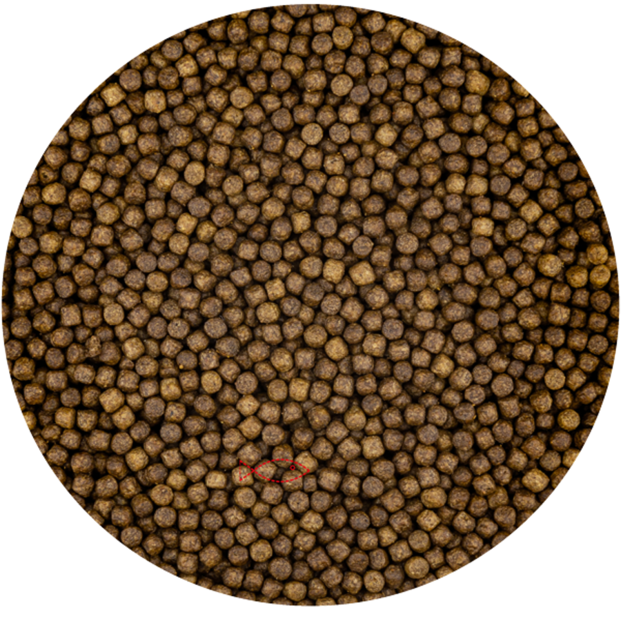 Grower drijvend koivoer