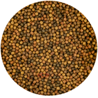 Japan Mix  3MM
