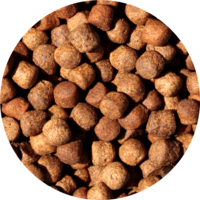 Jumbo Mix drijvend koivoer voor grote en oudere koi | 15 kg