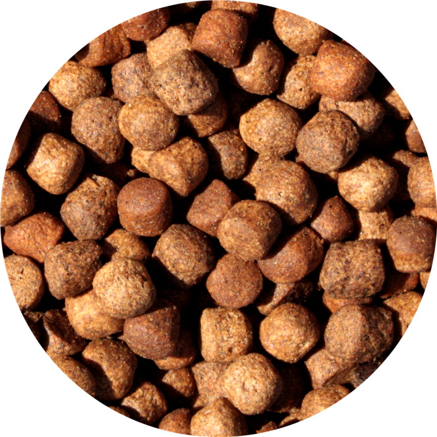 Jumbo Mix drijvend koivoer voor grote en oudere koi | 15 kg