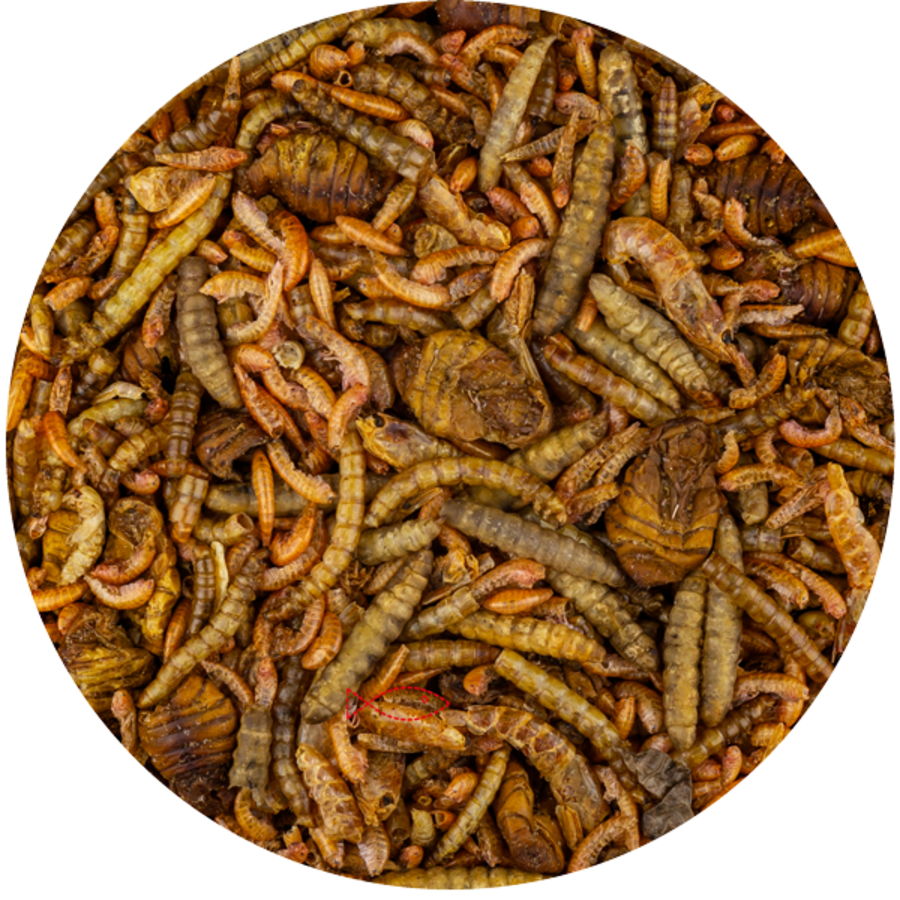 Koi Treats Mix natuurlijke insectensnack voor koi