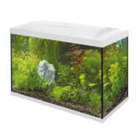 Start 100 Tropical Kit | 93L | 68 x 34 x 46 CM Wit