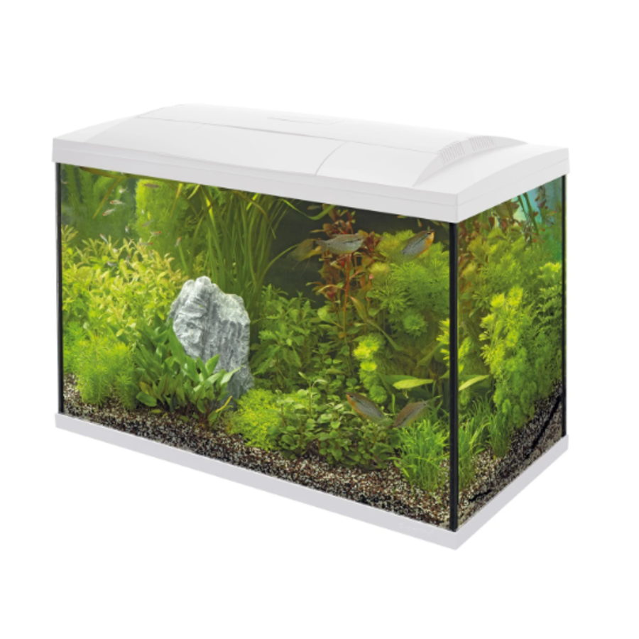 Start 150 Tropical Kit | 153L | 78 x 39 x 55 CM Wit