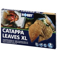 Nano Catappa Leaves