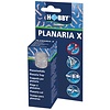 Planaria X