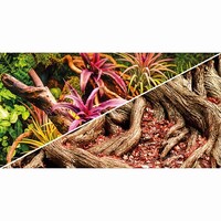 Foto Achterwand Colorful Jungle/Strangler Fig 50CM x 25M