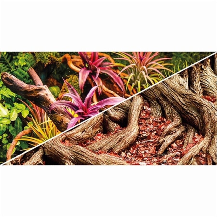 Foto Achterwand Colorful Jungle/Strangler Fig 50CM x 25M