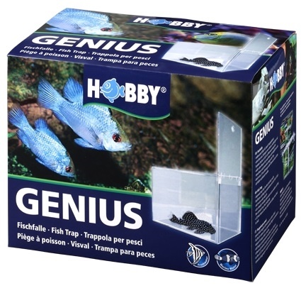 Hobby Genius Visval