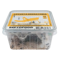 Repto Food Levende Sprinkhanen in Bakje | levend voer voor reptielen, vogels en amfibieën