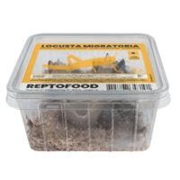 Repto Food Levende Sprinkhanen in Bakje | levend voer voor reptielen, vogels en amfibieën