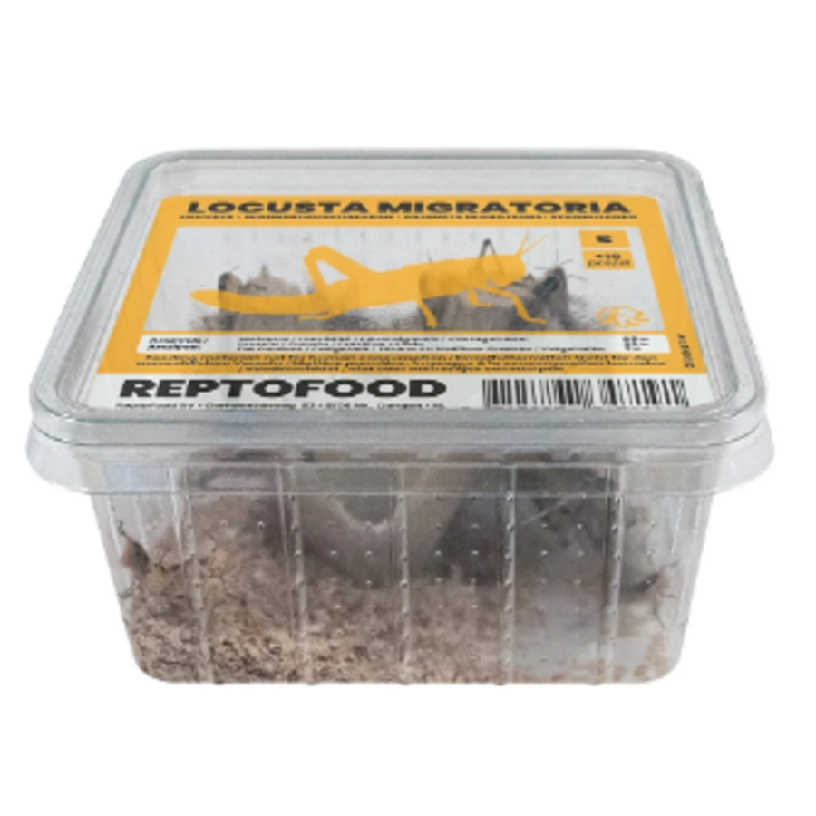 Repto Food Levende Sprinkhanen in Bakje | levend voer voor reptielen, vogels en amfibieën