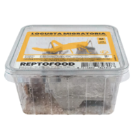 Repto Food Levende Sprinkhanen in Bakje | levend voer voor reptielen, vogels en amfibieën