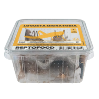 Repto Food Levende Sprinkhanen in Bakje | levend voer voor reptielen, vogels en amfibieën