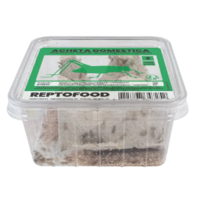 Levende Huiskrekels in Bakje | Voedingsrijk Insectenvoer