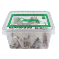 Levende Huiskrekels in Bakje | Voedingsrijk Insectenvoer