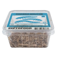 Levende meelwormen (Tenebrio molitor) | 50 g of 1 kg | voederinsecten voor reptielen en vogels