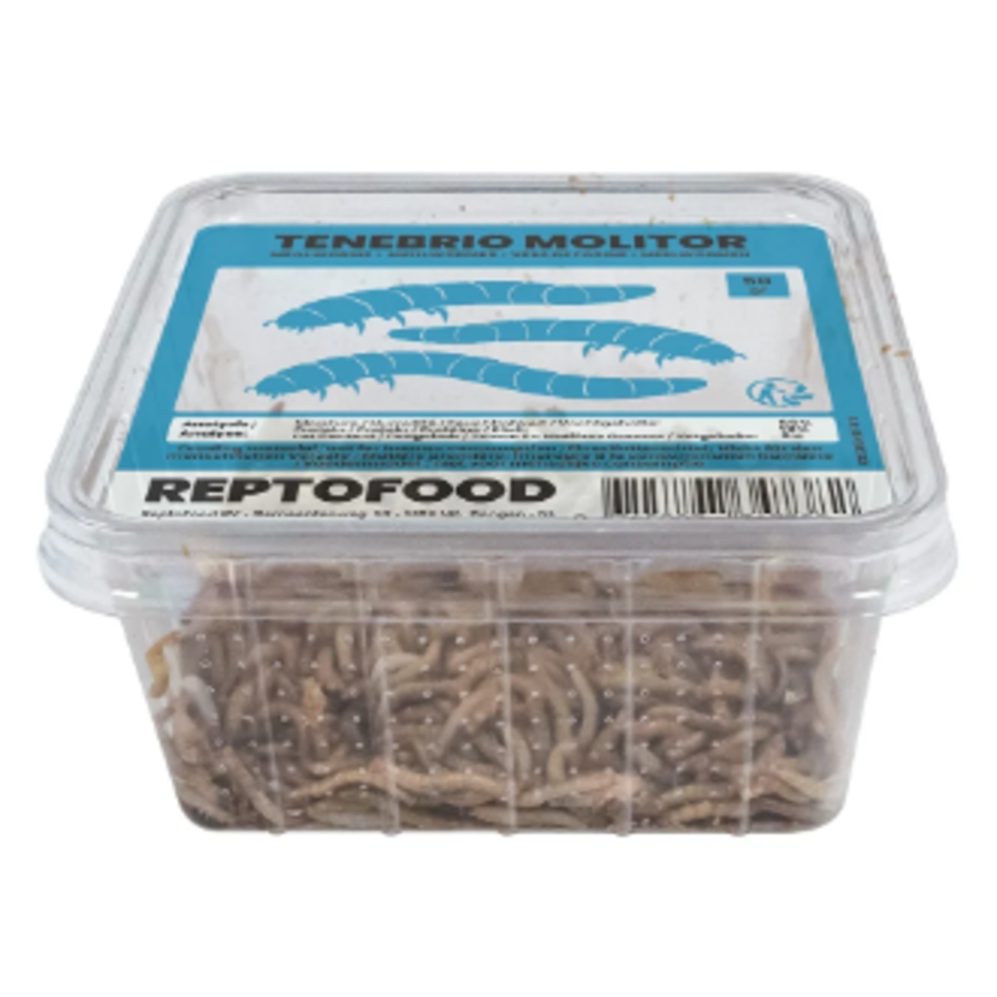 Levende meelwormen (Tenebrio molitor) | 50 g of 1 kg | voederinsecten voor reptielen en vogels