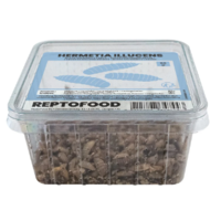 Levende Black Soldier Fly larven | 50 g of 1 kg | voedzaam levend reptielenvoer