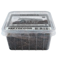 Levende Springstaartjes Box