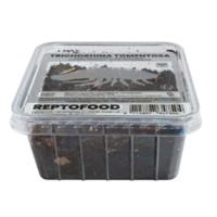 Levende tropische pissebedden 500 ml | dwergwitte isopoden voor bioactief terrarium