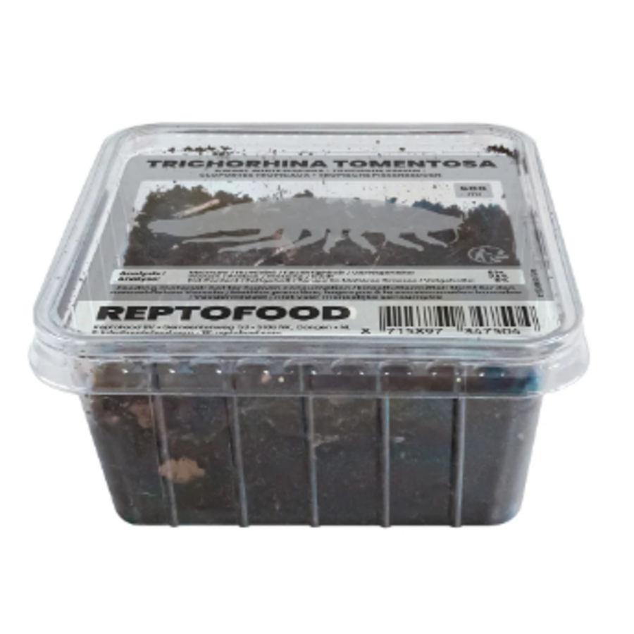 Levende tropische pissebedden 500 ml | dwergwitte isopoden voor bioactief terrarium